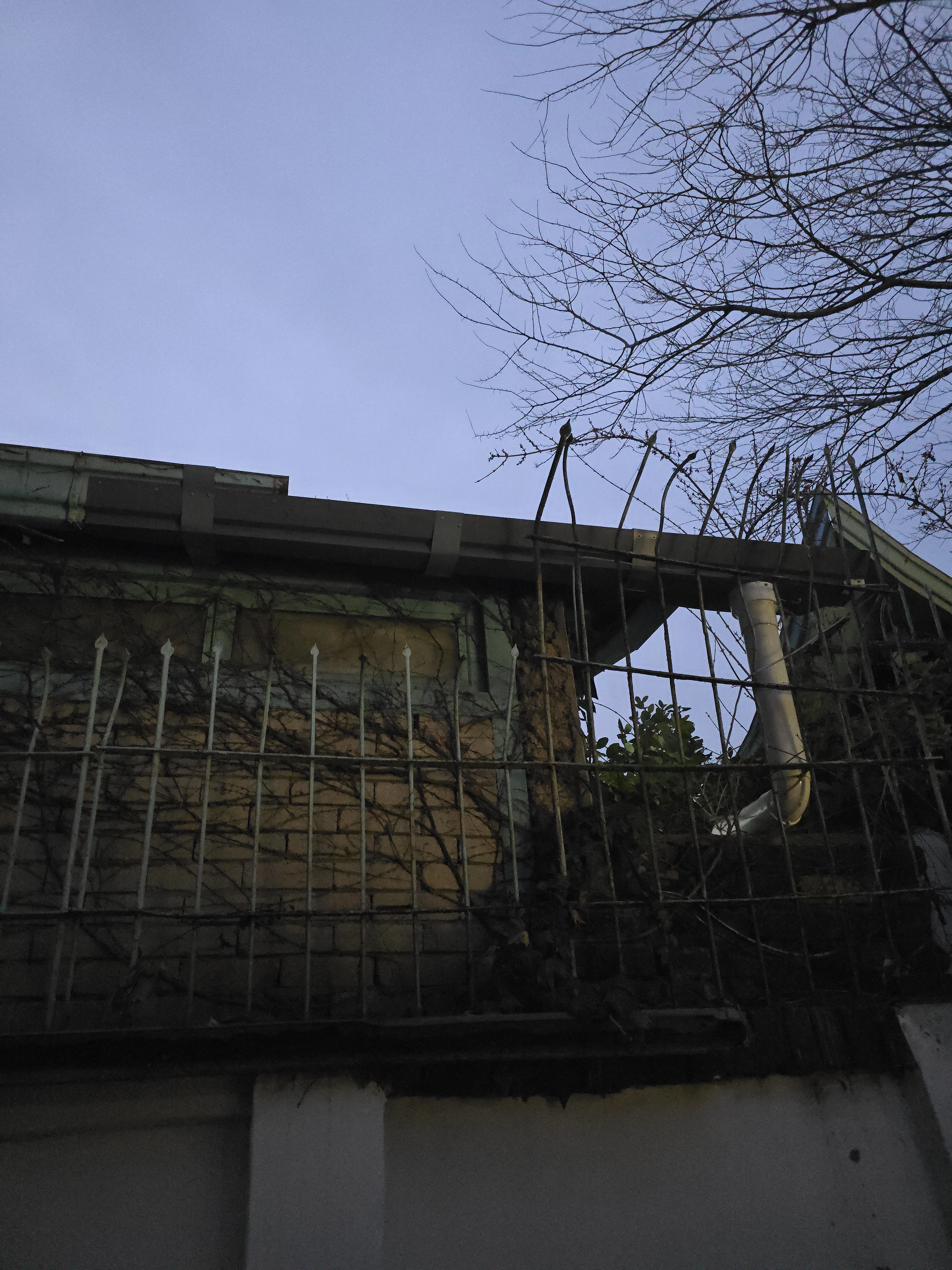 빗물받이 보강수리·연결부 수리 현장