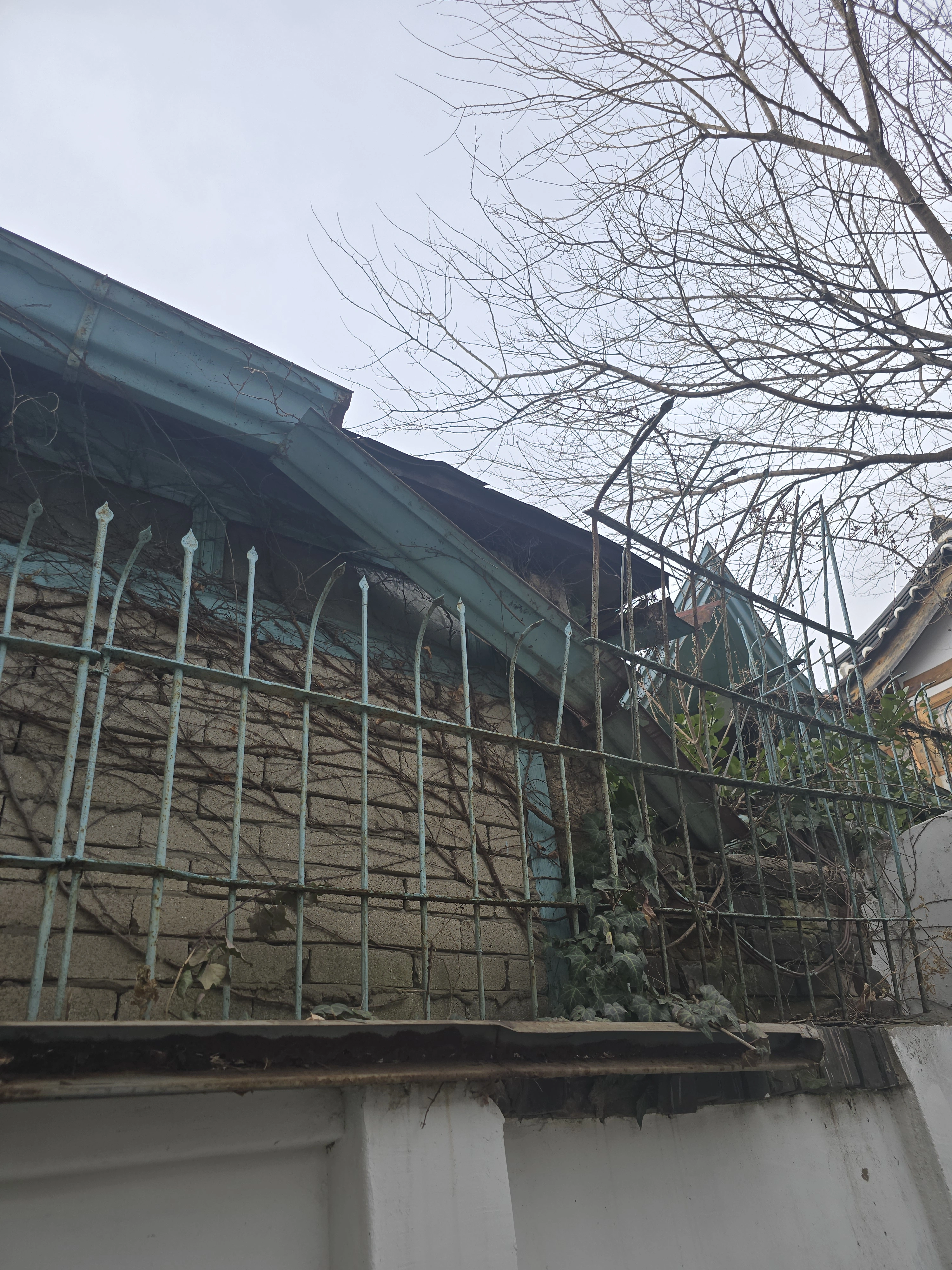 빗물받이 낙엽망 설치 현장